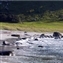 Sandvika is also a popular bathing beach in the summer.