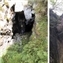 Huldra, la sorciere habite ici, dit-on.