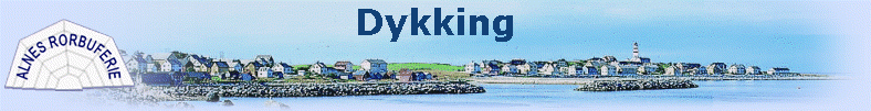 Dykking